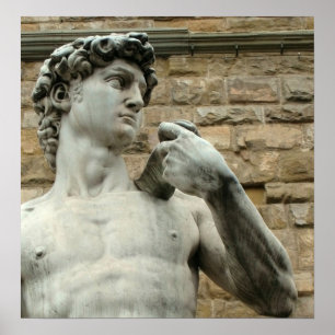 Michelangelos David 1 Poster