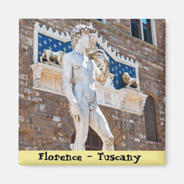 Michelangelos David - Florens, Toscana, Italien Magnet (Framsidan)