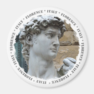 Michelangelos David Magnet