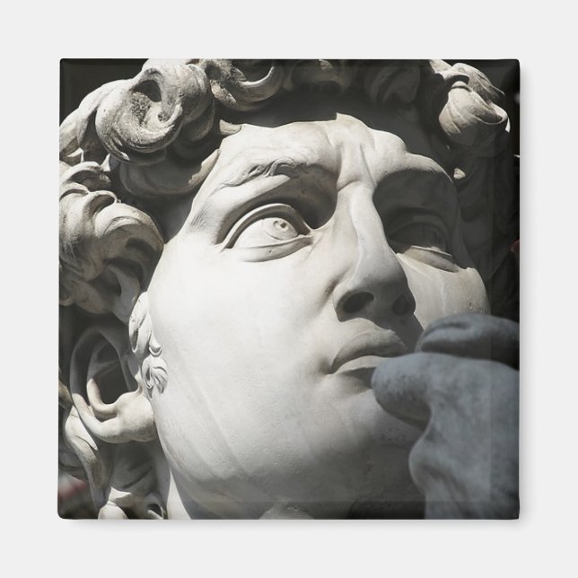 Michelangelos David Magnet (Framsidan)