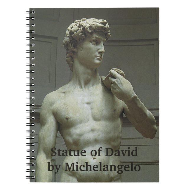 Michelangelos staty av David Anteckningsbok (Framsidan)