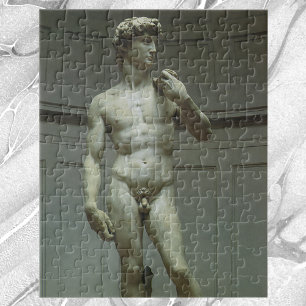 Michelangelos staty av David Pussel