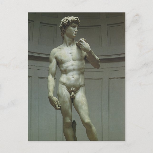 Michelangelos staty av David Vykort (Framsida)