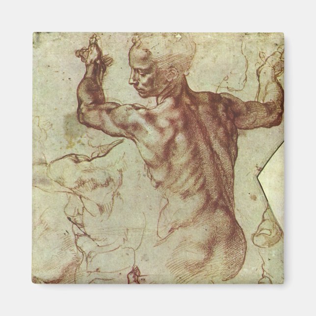 Michelangelos studie av en libysk sibyl magnet (Framsidan)