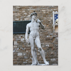 Michelanglo's David Vykort