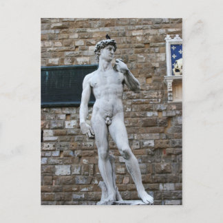 Michelanglo's David Vykort