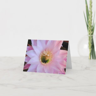 Michelles cactus blomma tack kort