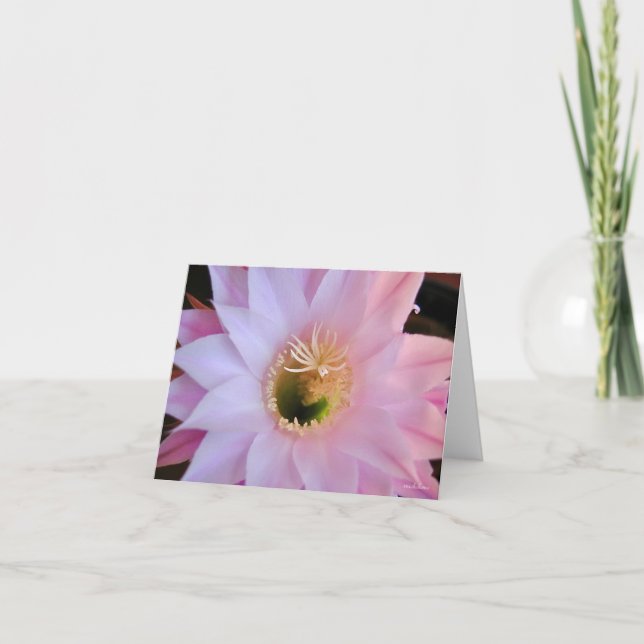 Michelles cactus blomma tack kort (Framsida)