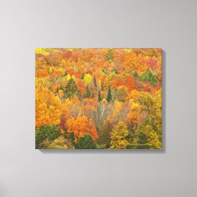 "MICHIGAN AGLOW WITH FÄRG" CANVASTRYCK (Framsida)