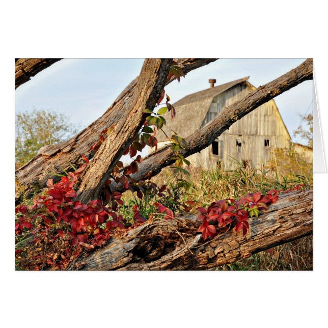 Michigan Barn och Fall Färg Hälsningskort (Framsidan Horizontal)