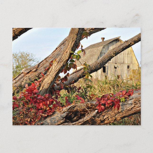 Michigan Barn och Fall Färg Vykort (Framsida)