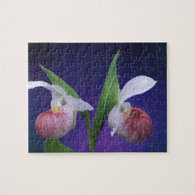 Michigan, Bruce Peninsula National Park.Svistig Pussel (Horisontell)