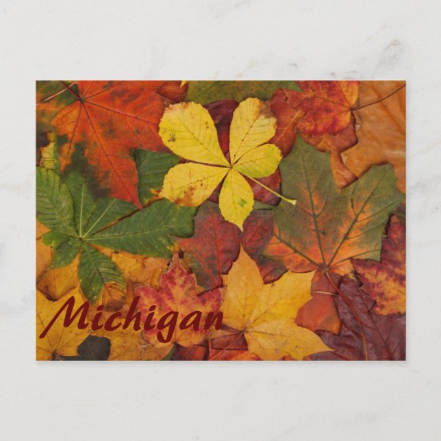 Michigan Colorful Höst löv vycard Vykort (Framsida)