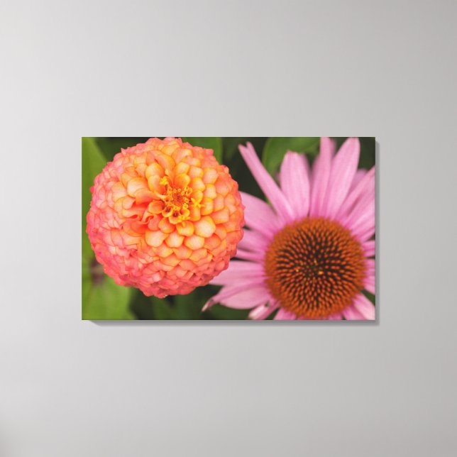 Michigan, Dearborn, Greenfield Village. persikor Canvastryck (Framsida)