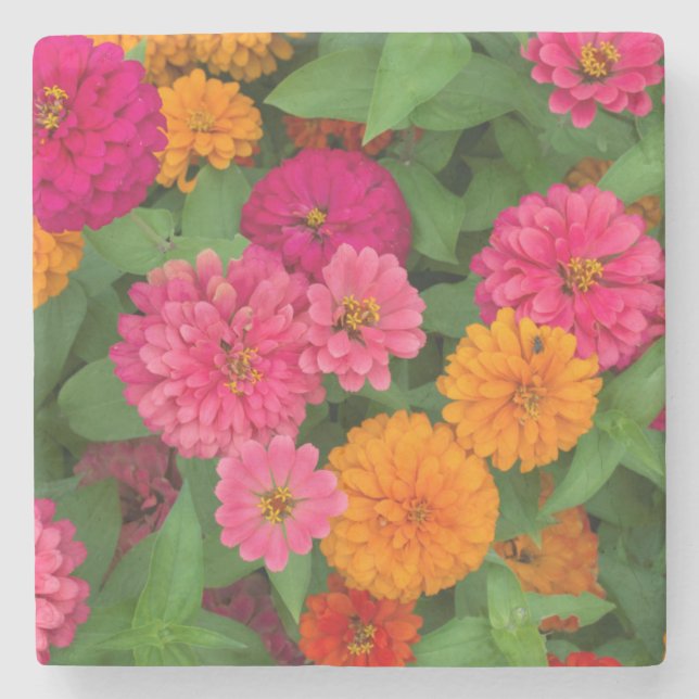 Michigan Dearborn, Greenfieldby. Nära övre Stenunderlägg (Framsidan)