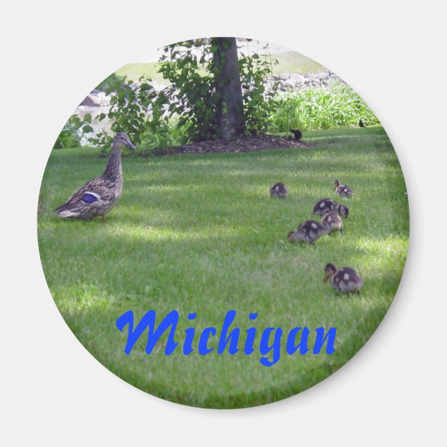 Michigan Ducklings Magnet (Framsidan)