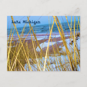 Michigan Dune Grass-vykort Vykort