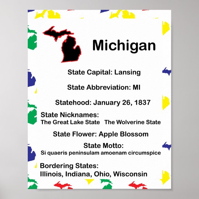 Michigan Education Fact US State Poster (Framsidan)