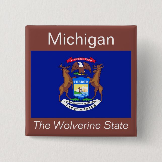 Michigan Flagga Button Knapp (Framsida)