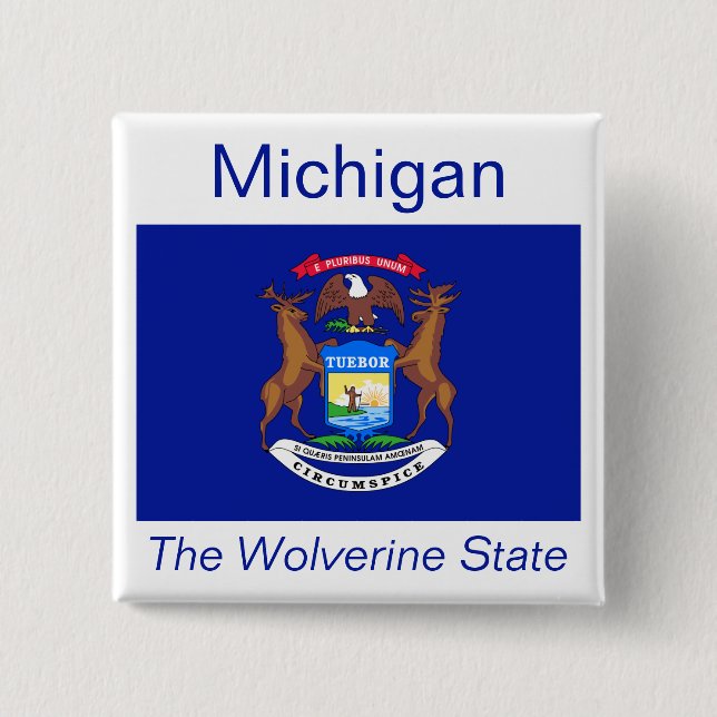 Michigan Flagga Button Knapp (Framsida)