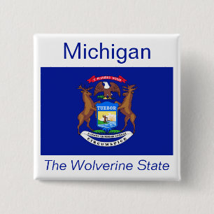 Michigan Flagga Button Knapp