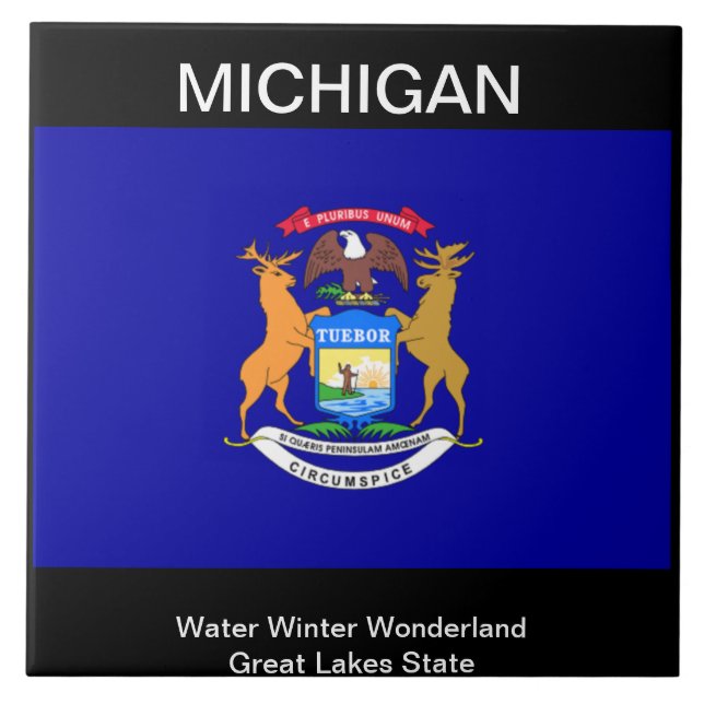Michigan Flagga Kakelplatta (Framsidan)