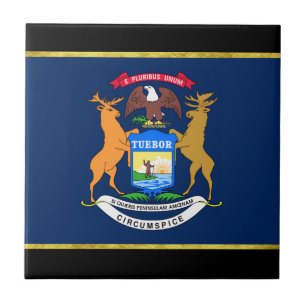 Michigan flagga kakelplatta