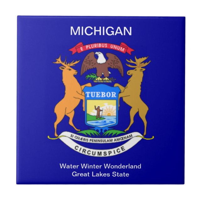 Michigan Flagga Kakelplatta (Framsidan)