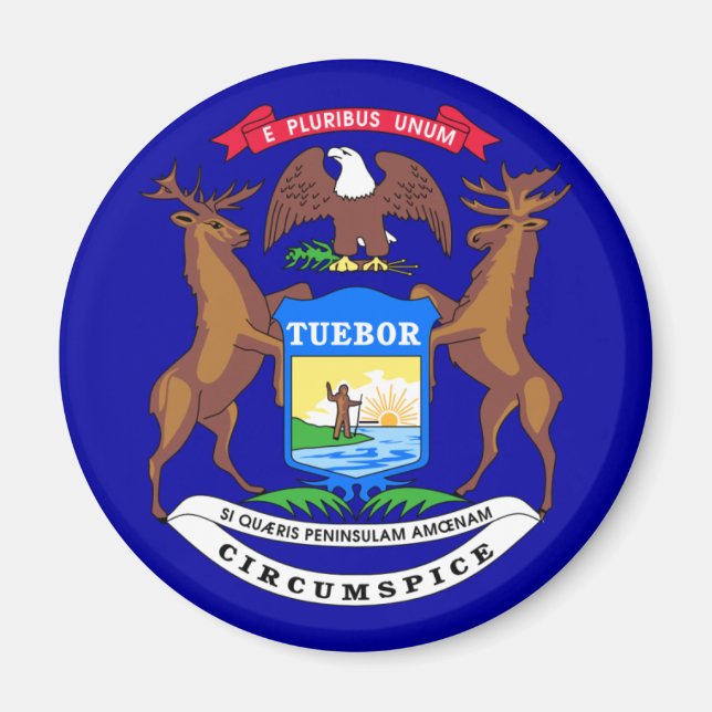 Michigan Flagga Magnet (Framsidan)