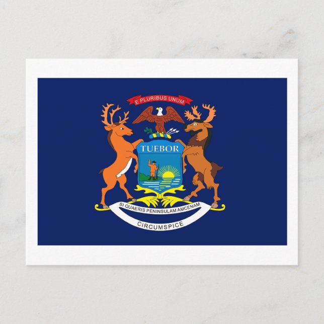 Michigan Flagga Postcard Vykort (Framsida)