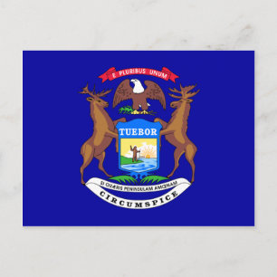 Michigan flagga vykort