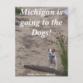 Michigan går till hundarna! vykort