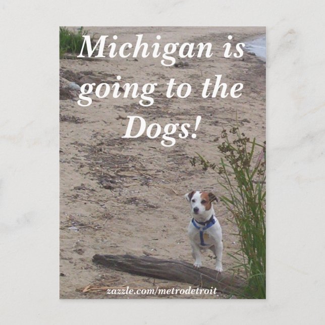 Michigan går till hundarna! vykort (Framsida)