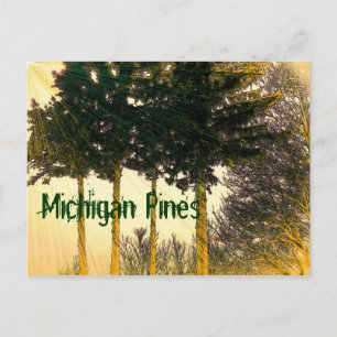 Michigan Gräs Postcard Vykort