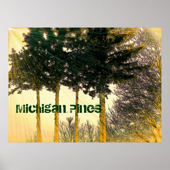 Michigan Gräs Poster (Framsidan)