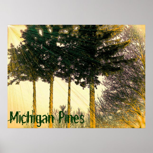 Michigan Gräs Poster (Framsidan)