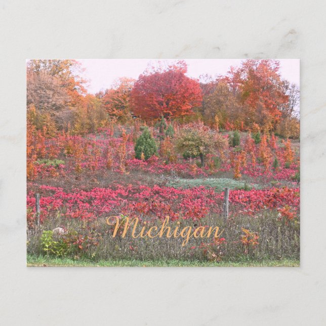 "MICHIGAN HILLSIDE AFLAME WITH FÄRG" VYKORT (Framsida)