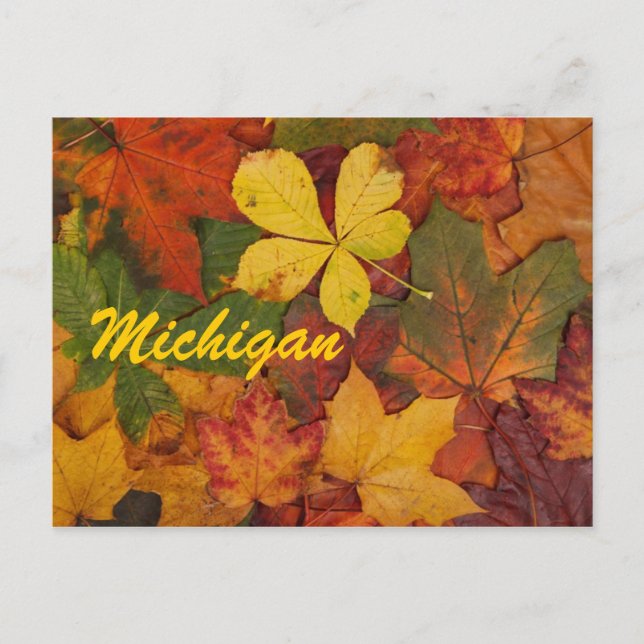Michigan Höst löv Postcard Vykort (Framsida)