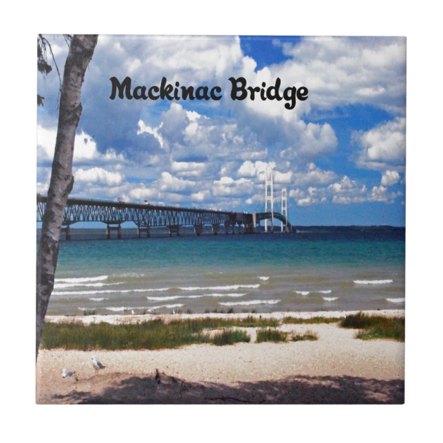 Michigan Kakelplatta (Framsidan)