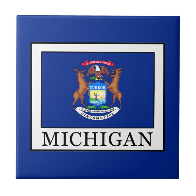 Michigan Kakelplatta (Framsidan)