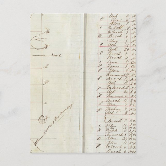 Michigan och Indiana Survey 2 Vykort (Framsida)