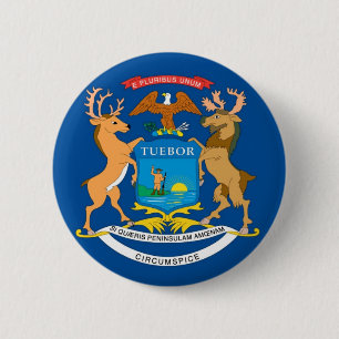 Michigan officiellstatlig flagga knapp
