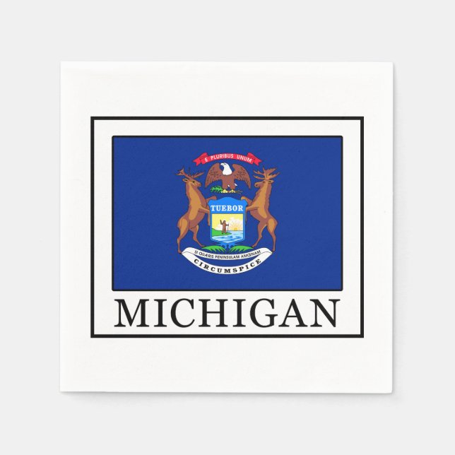 Michigan Pappersservett (Framsidan)