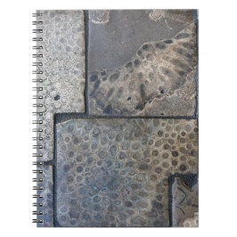 Michigan Petoskey Stone Anteckningsbok