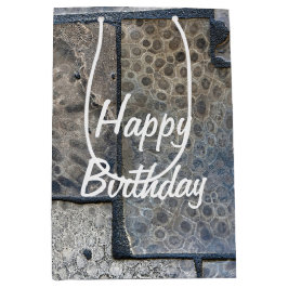 Michigan Petoskey Stone Birthday