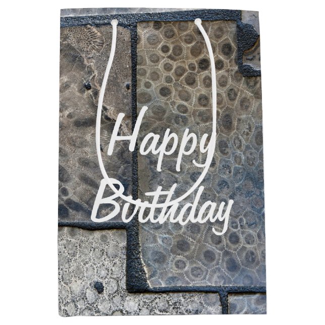 Michigan Petoskey Stone Birthday (Framsidan)