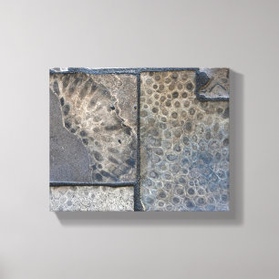 Michigan Petoskey Stone Canvastryck