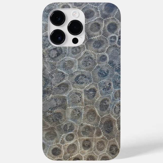 Michigan Petoskey Stone Design (Baksida)