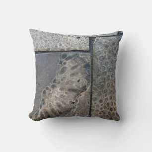 Michigan Petoskey Stone Design Kudde