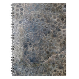 Michigan Petoskey Stone Mönster Anteckningsbok